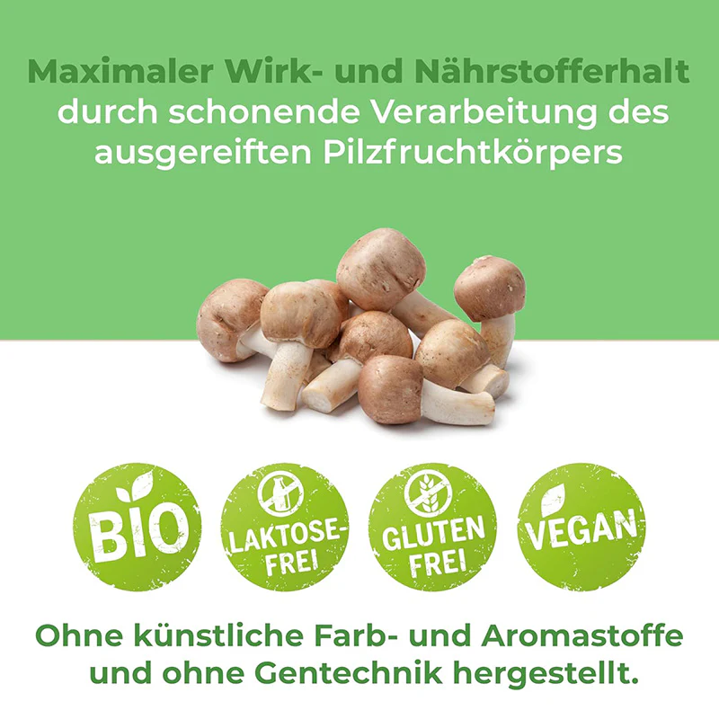 Agaricus Blazei - Mandelpilz Pulver | Bio 125g - Image 3