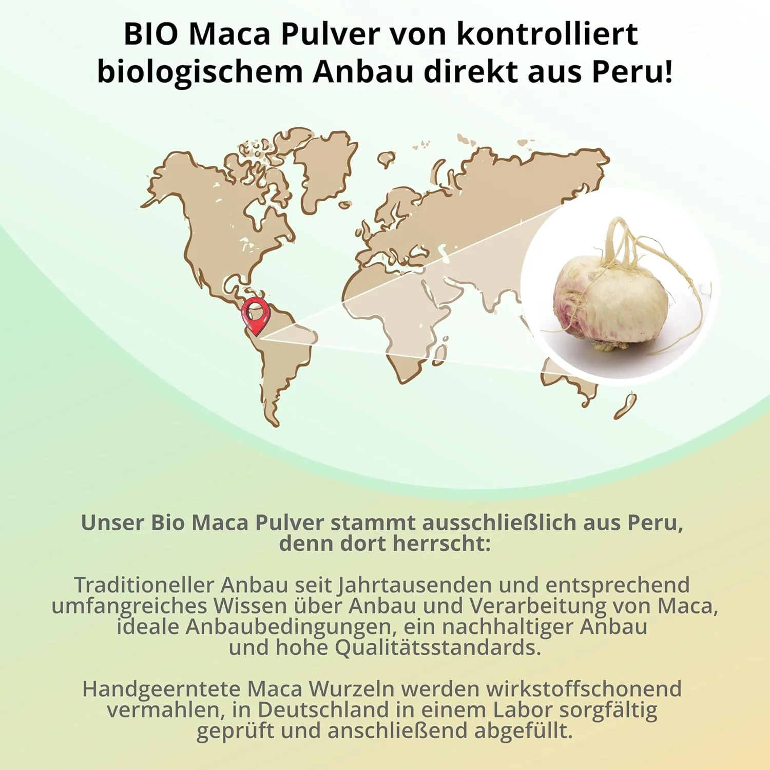 Bio Maca Pulver Schwarz - Image 5