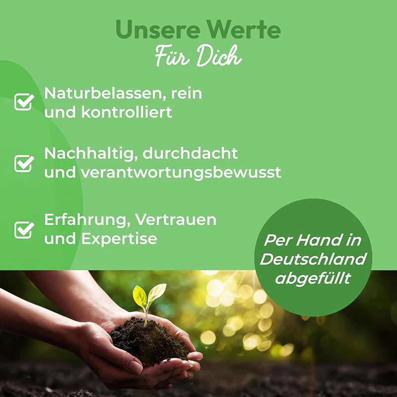 Getrocknete Weiße Maulbeere: Bio-Maulbeeren – 500 g | Süß, nährstoffreich & perfekt für Snacks - Image 4