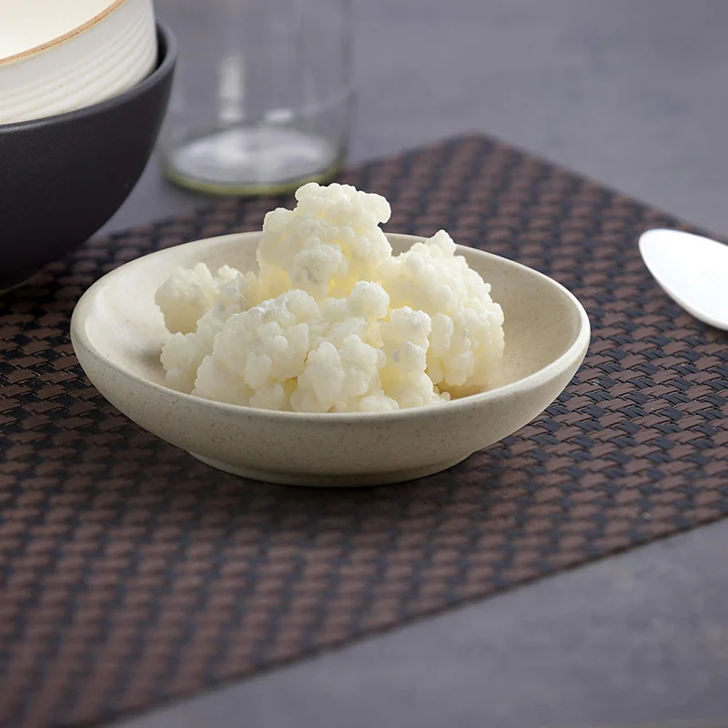 Kefir Starter Set – Milchkefir selber machen mit Bio-Kefirknollen + Zubehör - Image 6